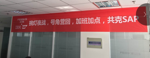 飛力達(dá):SAP來了