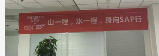 飛力達(dá):SAP來了