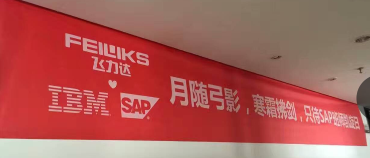 飛力達(dá):SAP來了