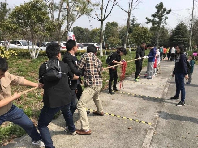 【同心·同行·同公益】第十一屆飛力達(dá)徒步活動(dòng)節(jié)活動(dòng)圖錦