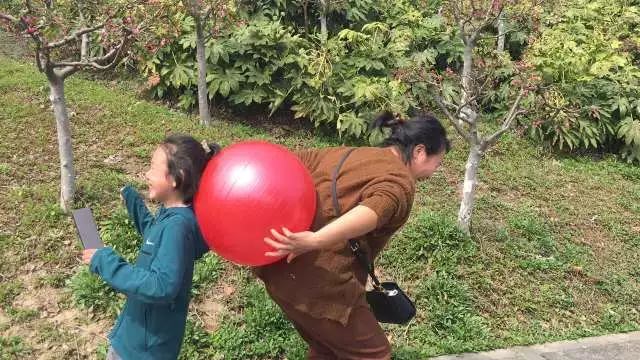 【同心·同行·同公益】第十一屆飛力達(dá)徒步活動(dòng)節(jié)活動(dòng)圖錦