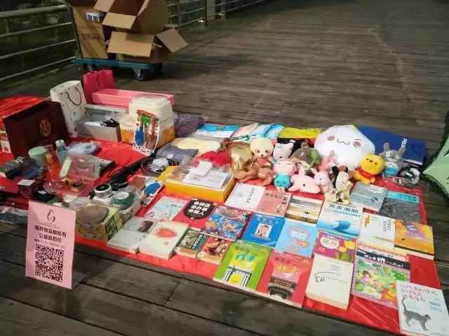 【同心·同行·同公益】第十一屆飛力達(dá)徒步活動(dòng)節(jié)活動(dòng)圖錦