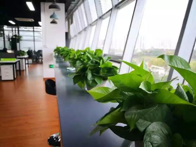 飛力達(dá):寧波勝澤開業(yè)志喜 飛力達(dá)再添新成員