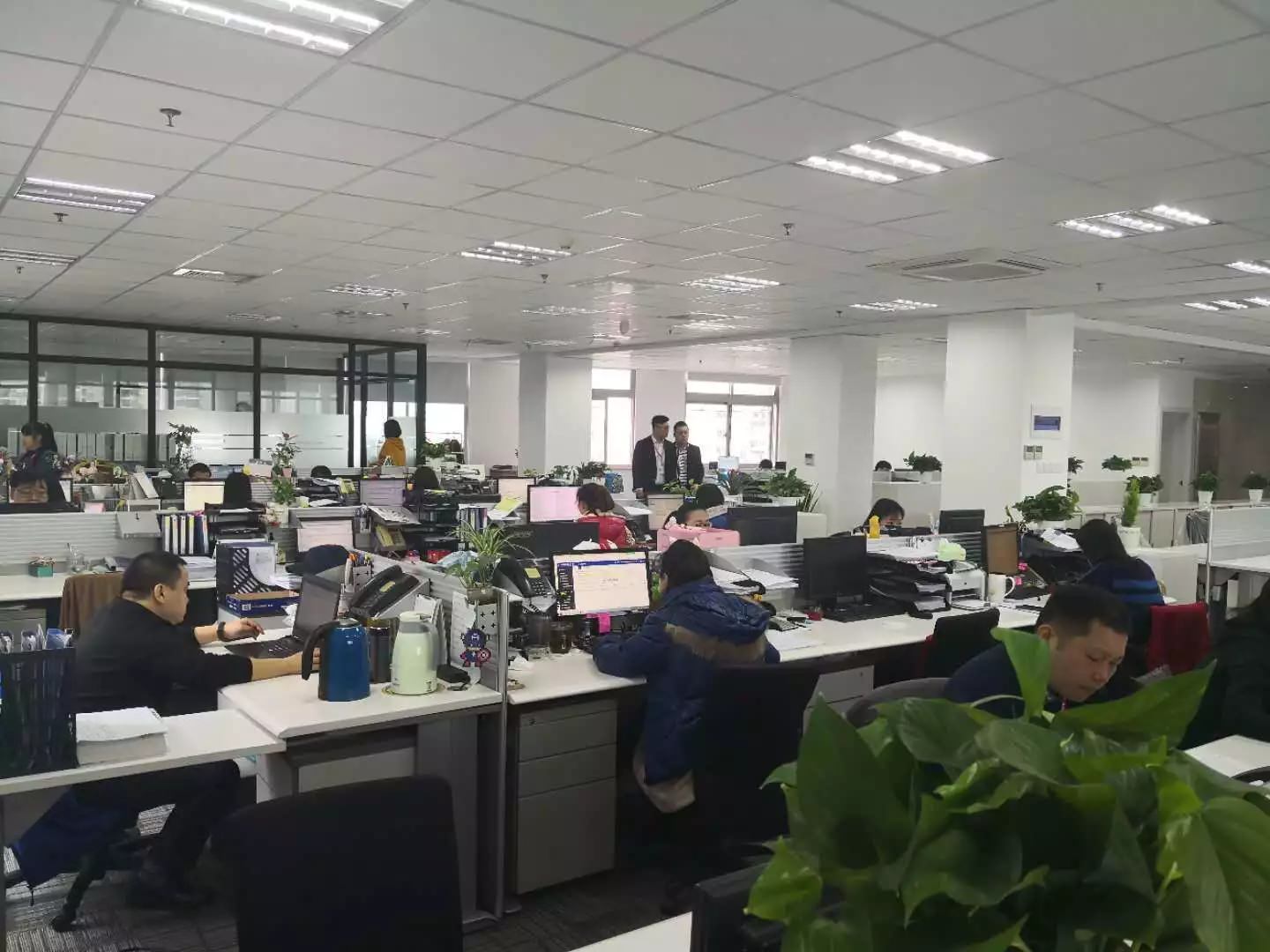 上海飛力達國際物流有限公司（海運）搬新家啦?。?！